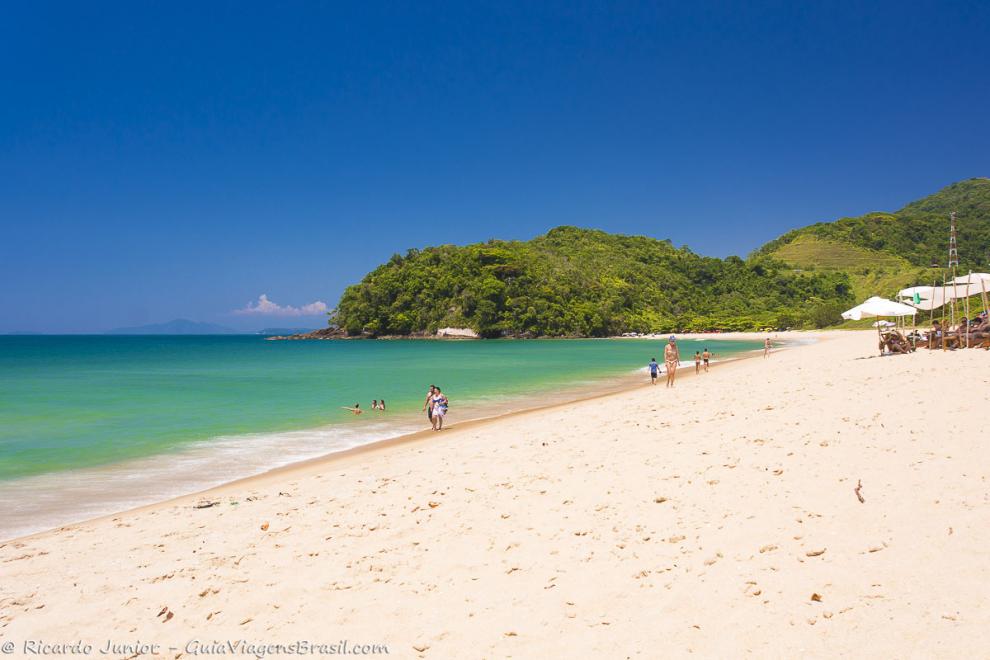 Imagem da charmosa Praia de Prumirim em Ubatuba.